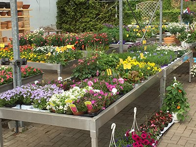 Beet- und Balkonpflanzen