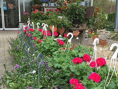 Beet- und Balkonpflanzen